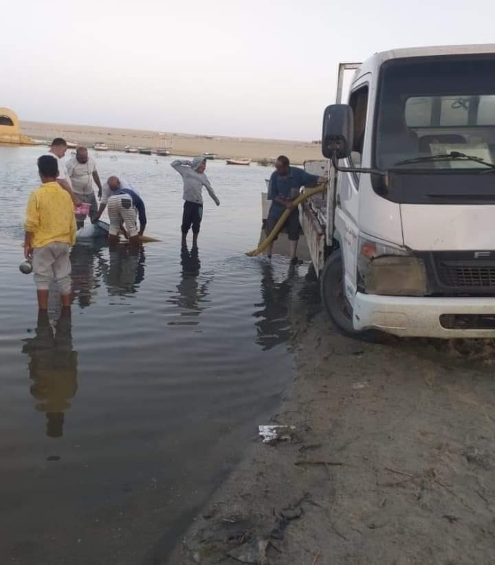 إلقاء 625 ألف وحدة زريعة من أسماك البلطي والمبروك الفضي بمسطحات الريان