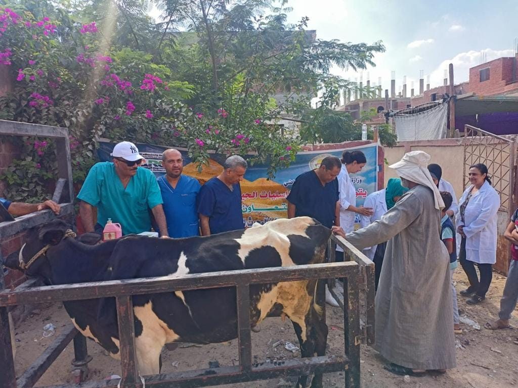 «الزراعة» تطلق قافلة بيطرية مجانية لعلاج مواشي صغار المربين في الوادي الجديد