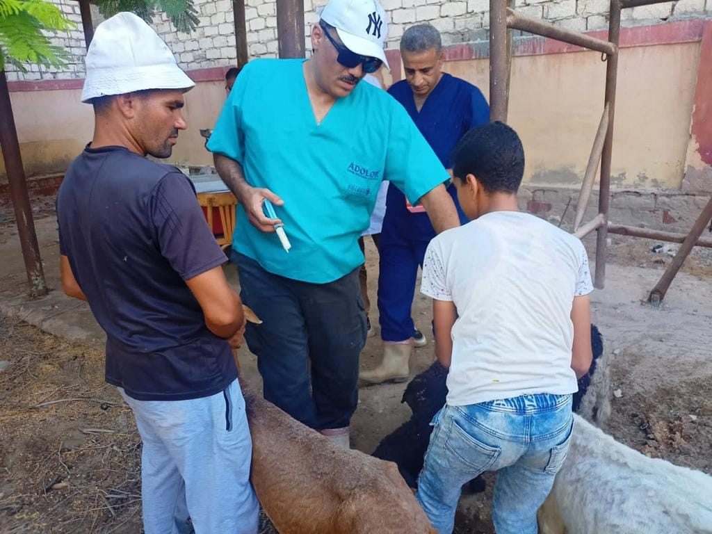 «الزراعة» تطلق قافلة بيطرية مجانية لعلاج مواشي صغار المربين في القليوبية