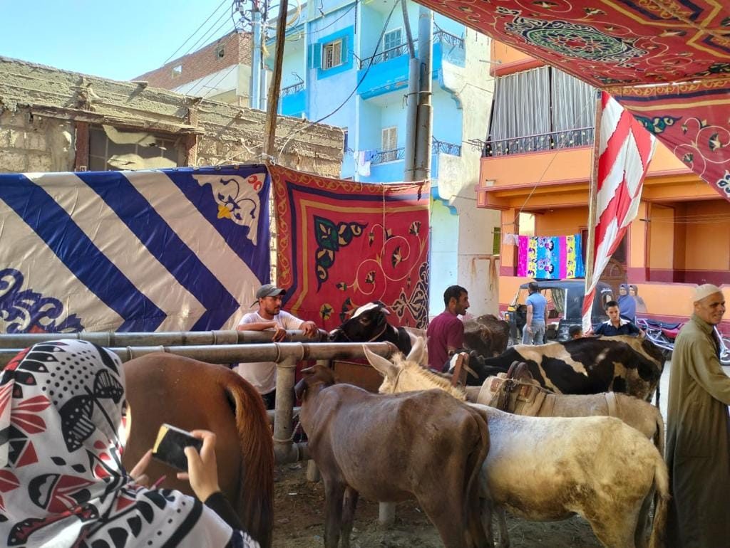 «صحة الحيوان» تطلق قوافل بيطرية مجانية لخدمة صغار المربين بالدقهلية