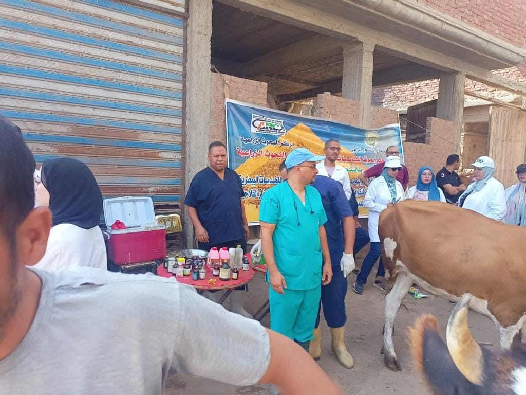 «الزراعة» تنظم قافلة بيطرية مجانية لعلاج مواشي صغار المربين بدمياط
