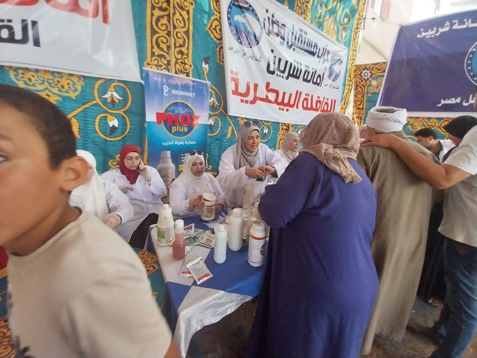 "الصحة الحيوانية" و"الخدمات البيطرية" ينفذان سلسلة قوافل مجانية شاملة بالدقهلية وبنى سويف