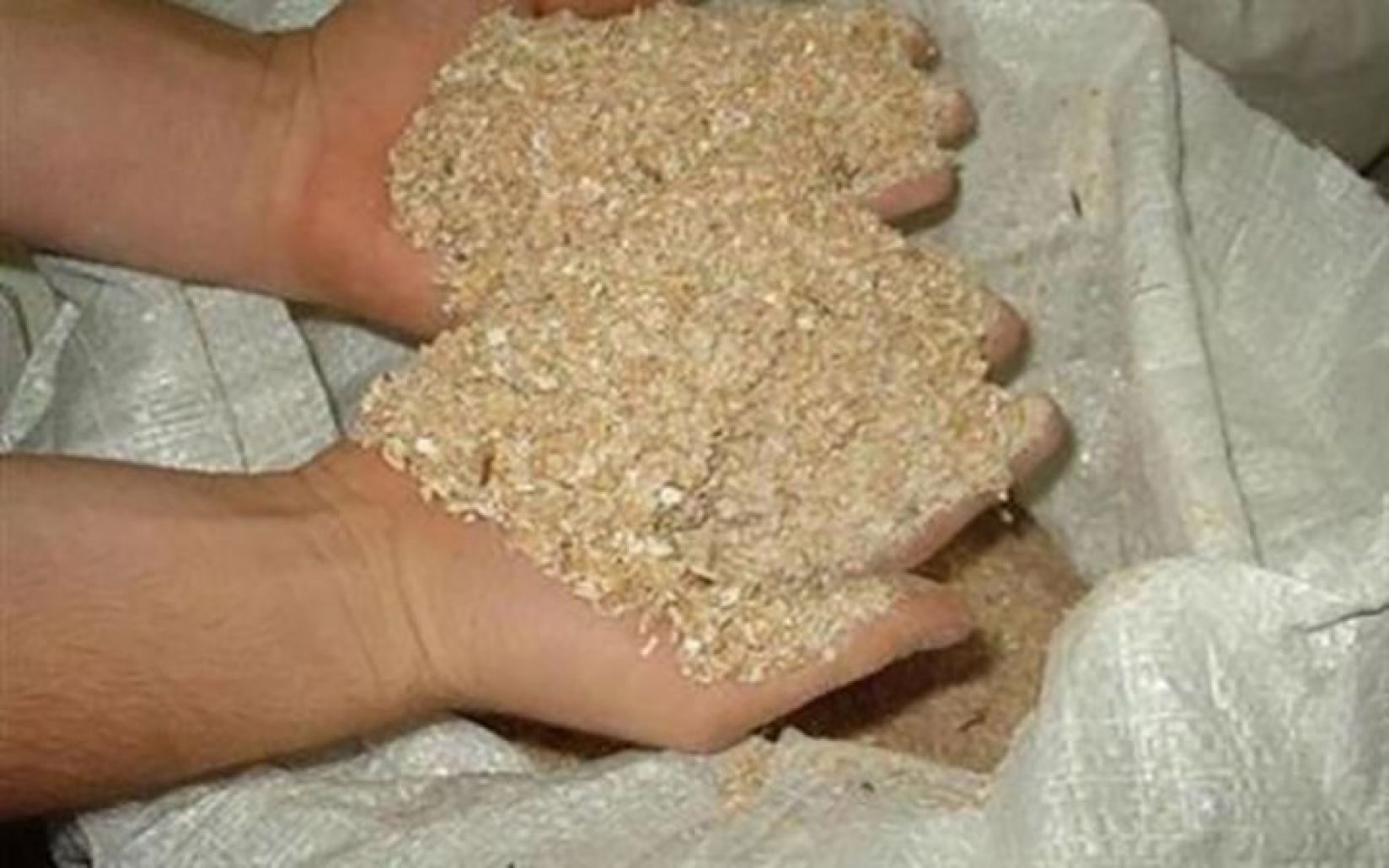 تحرير 9 قضايا ضد أصحاب مزارع ماشية لصرف نحو 65 طن نخالة بدون وجه حق