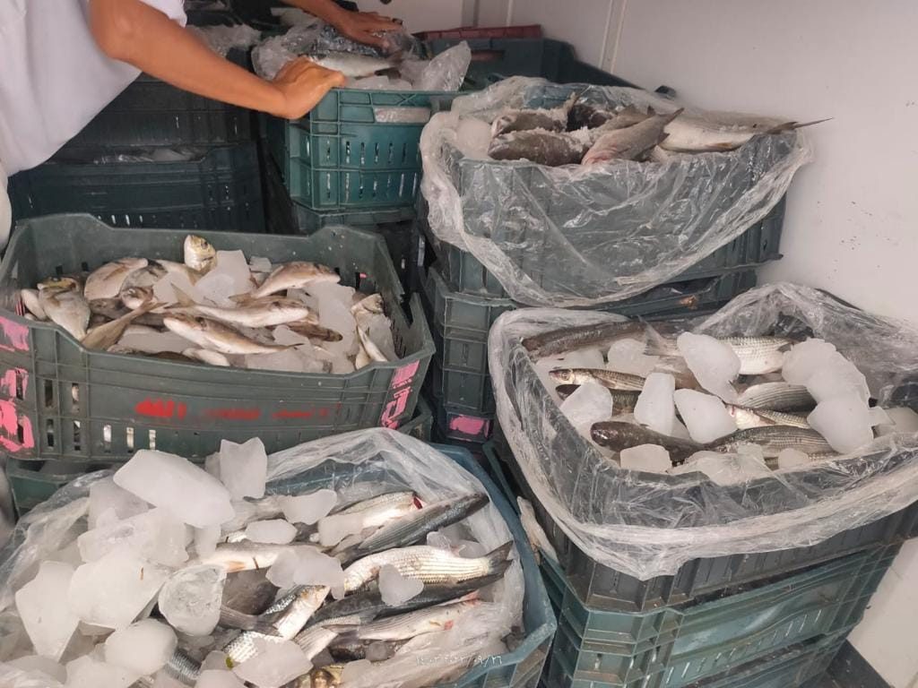 جهاز حماية البحيرات وتنمية الثروة السمكية يشارك في قافلة السلع الغذائية لشمال سيناء