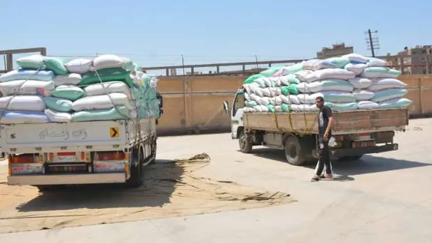 مصادرة 30 طن قمح داخل مصنع لإنتاج الأعلاف بالغربية