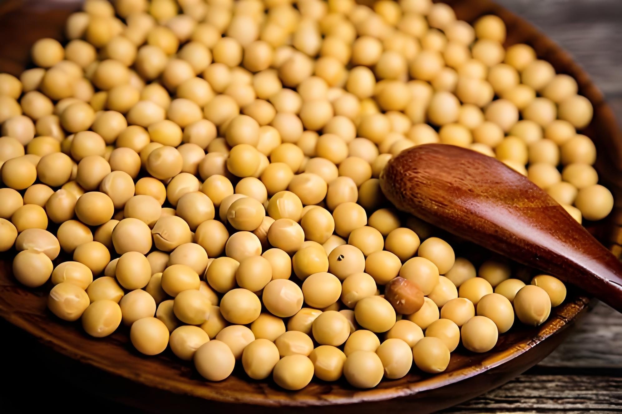  عمليات التفتيش على صادرات فول الصويا الأمريكية تسجل 220 ألف طن