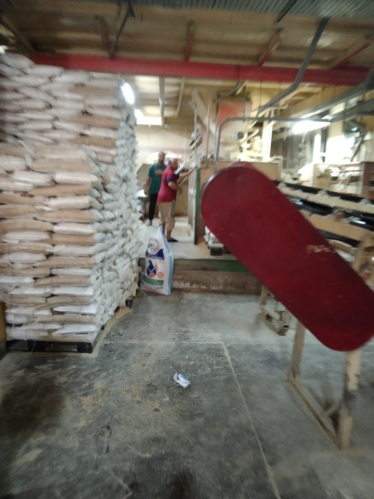 بتعليمات من وزير الزراعة.. 35 لجنة على مستوى الجمهورية للتفتيش على مخازن الأعلاف وخاماتها: إجراءات صارمة ضد المخالفين