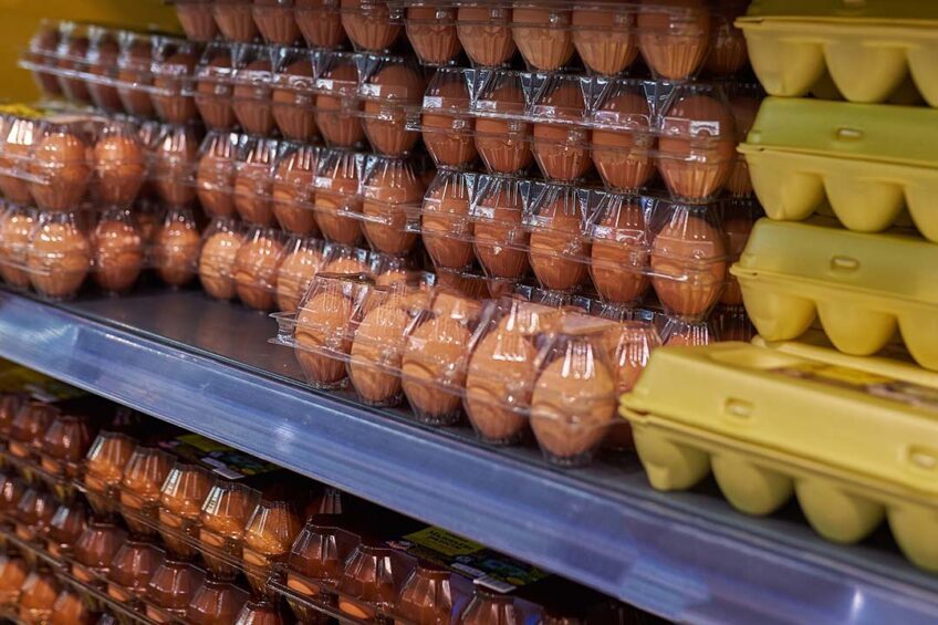 40% ارتفاعا في 2023.. عاصفة كاملة بسوق البيض الروسي والسلطات تتدخل