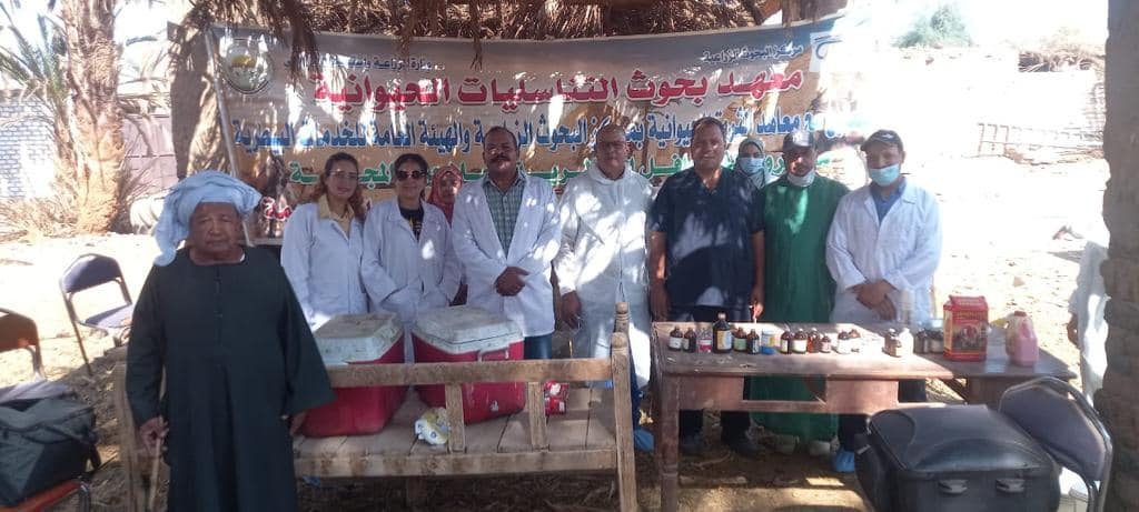 علاج وفحص أكثر من 1900 رأس ماشية لصغار المربين خلال قافلة بيطرية مجانية بالأقصر