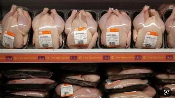 متحدث التموين: طرح 600 طن من أوراك وصدور الدواجن في المجمعات الاستهلاكية بأسعار تنافسية