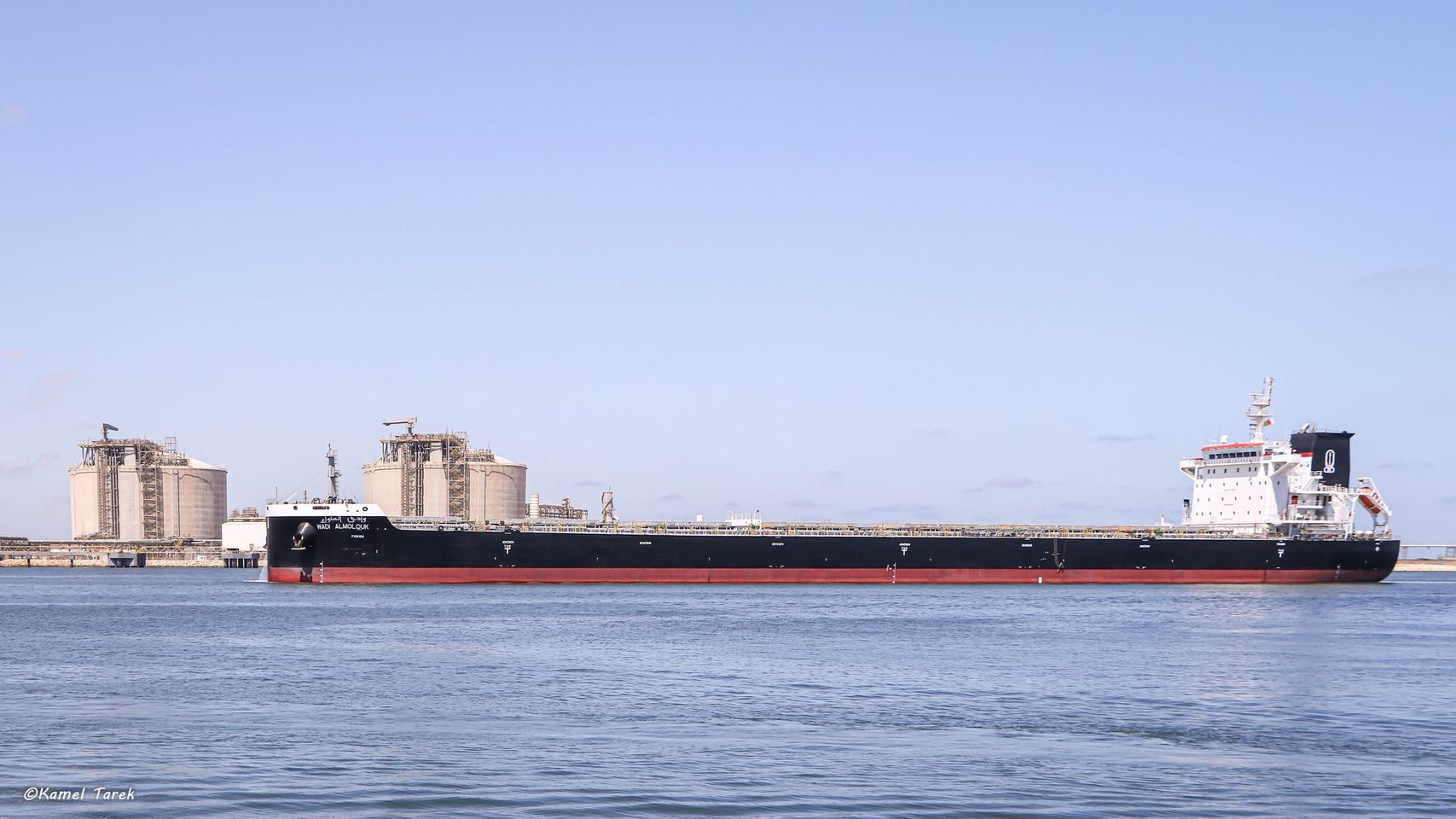 ميناء دمياط 4509 طن ذرة و 300 طن فول صويا