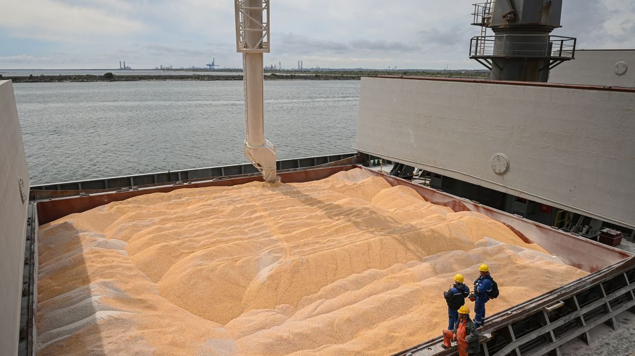 SLAL الإيرانية تحجز 50 ألف طن من الذرة الروسية خلال مناقصة