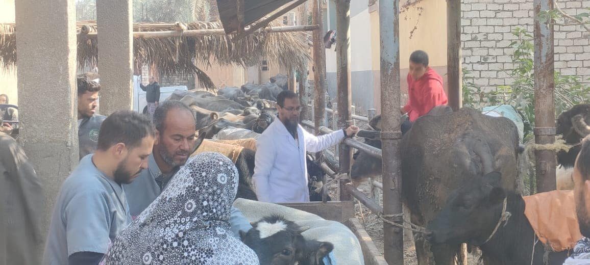 الزراعة تواصل تنظيم قوافل الخير البيطرية لعلاج مواشي صغار المربين مجانا بالفيوم