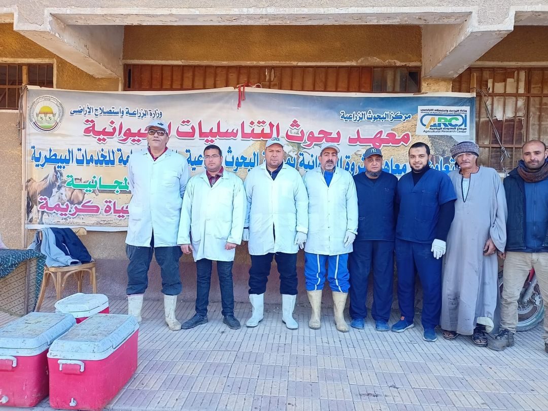 الزراعة ينظم قافلة بيطرية مجانية لعلاج وفحص مواشي صغار المربين في بني سويف