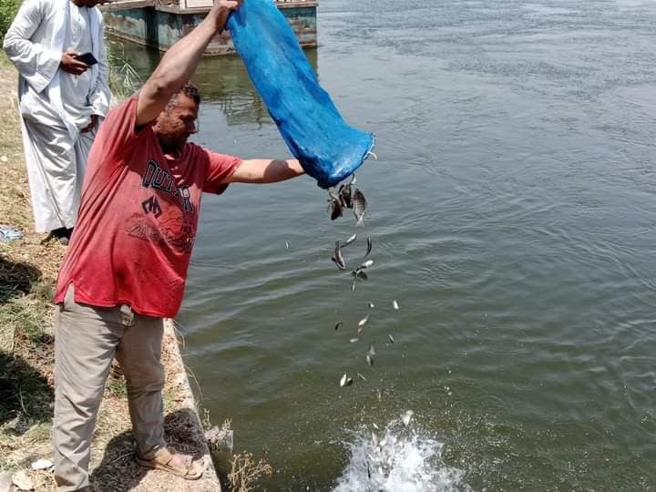 إلقاء مليون أصبعية زريعة أسماك بلطي ومبروك في بحر "أبو الأخضر" في الشرقية