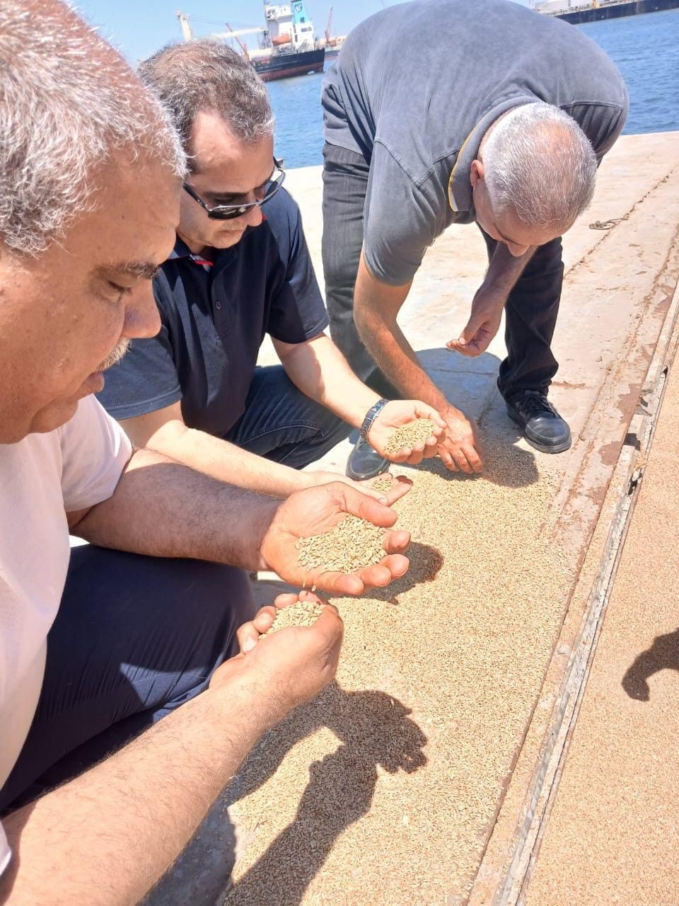 الزراعة تتابع الصادرات والواردات الزراعية في ميناء دمياط