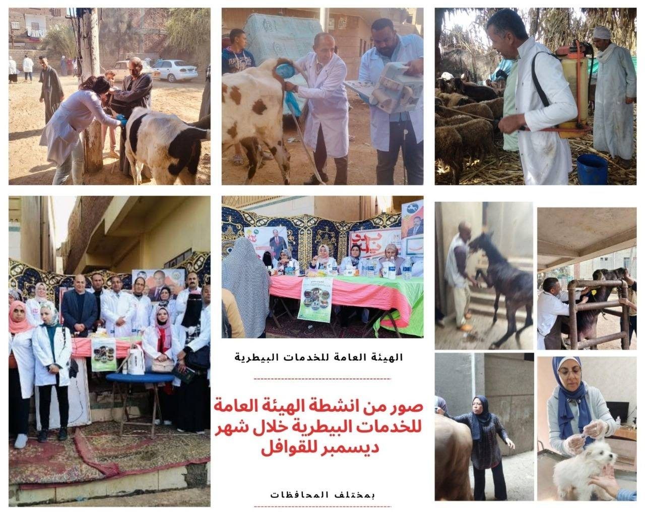 الزراعة تستعرض حصاد وأنشطة الخدمات البيطرية في التحصين والقوافل وحملات التفتيش خلال ديسمبر 2024