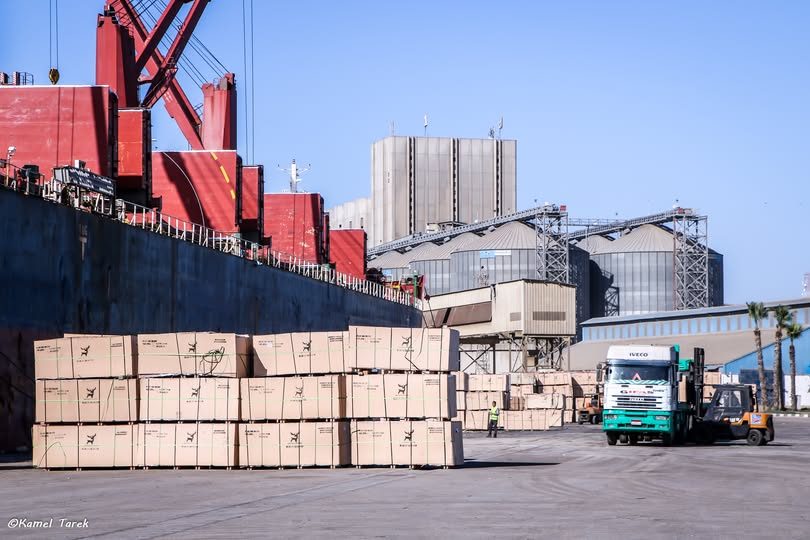 ميناء دمياط يستقبل 7000 طن ذرة و 10983 طن فول صويا