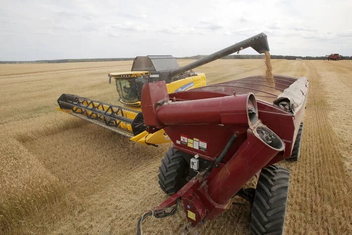 الأرجنتين تلغي الحدود القصوى لصادرات القمح والذرة