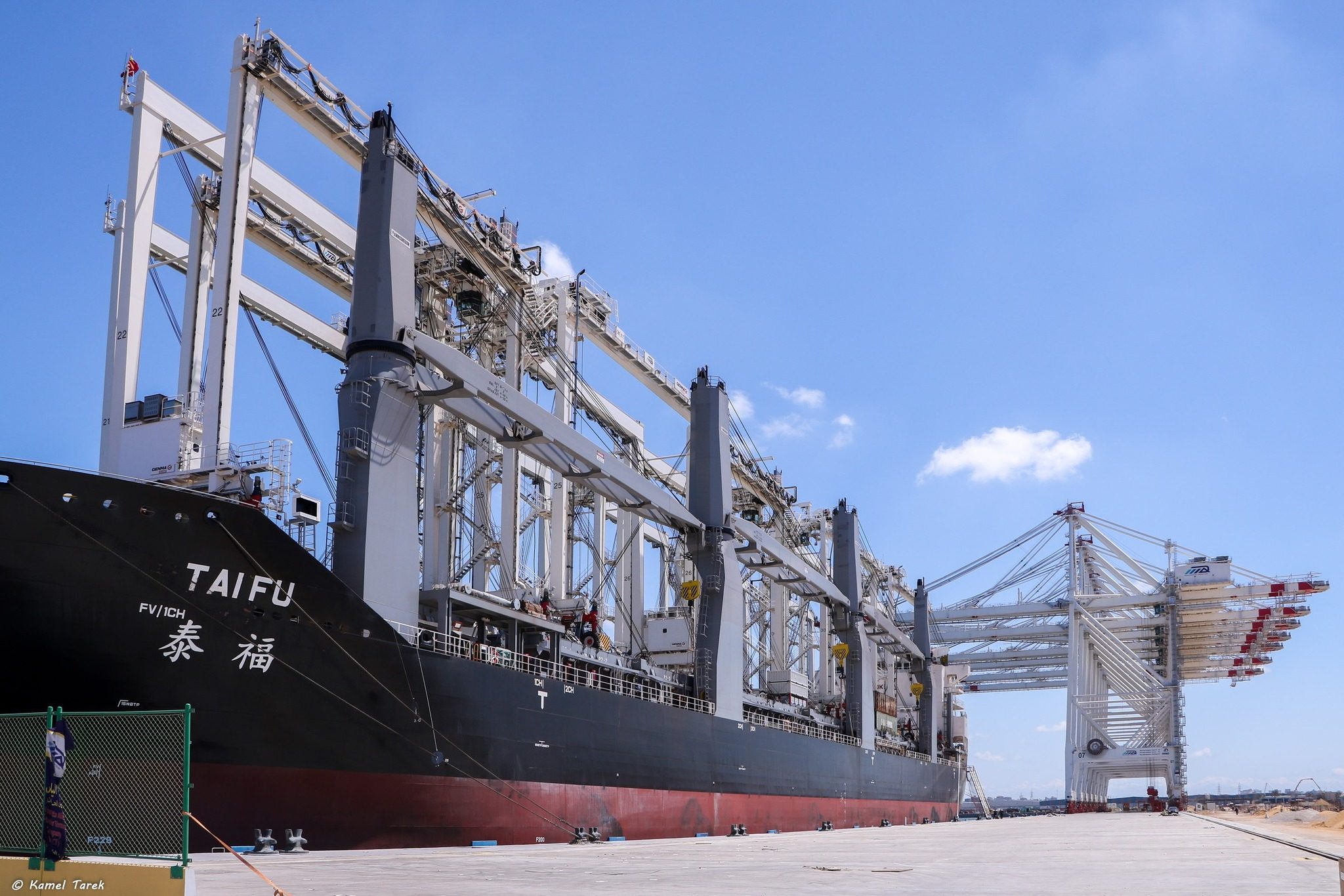 ميناء دمياط يستقبل 85 طن كسب عباد خلال 24 ساعة