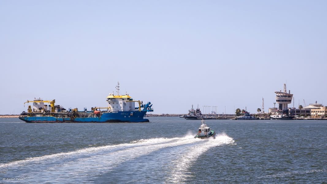 ميناء دمياط يستقبل 2300 طن كسب عباد و 698 رأس ماشية من عجول تسمين