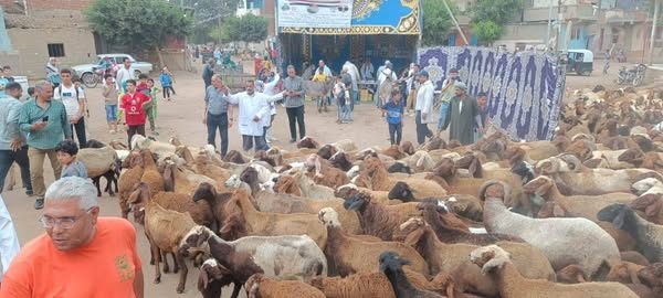 "الخدمات البيطرية" تستعرض جهودها لدعم صحة الحيوان والتوعية المجتمعية في جميع المحافظات