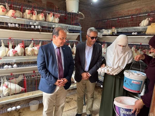 بحوث الصحراء والفاو ينظمان المؤتمر الختامي لمشروع تعزيز سبل العيش المستدامة في جنوب سيناء