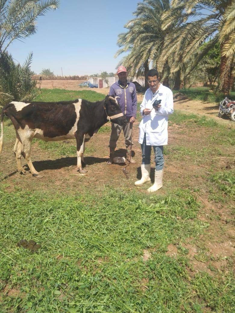 الزراعة: 160 قافلة بيطرية مجانية وإغلاق 85 مركز مخالف لبيع الأدوية البيطرية خلال شهر أبريل