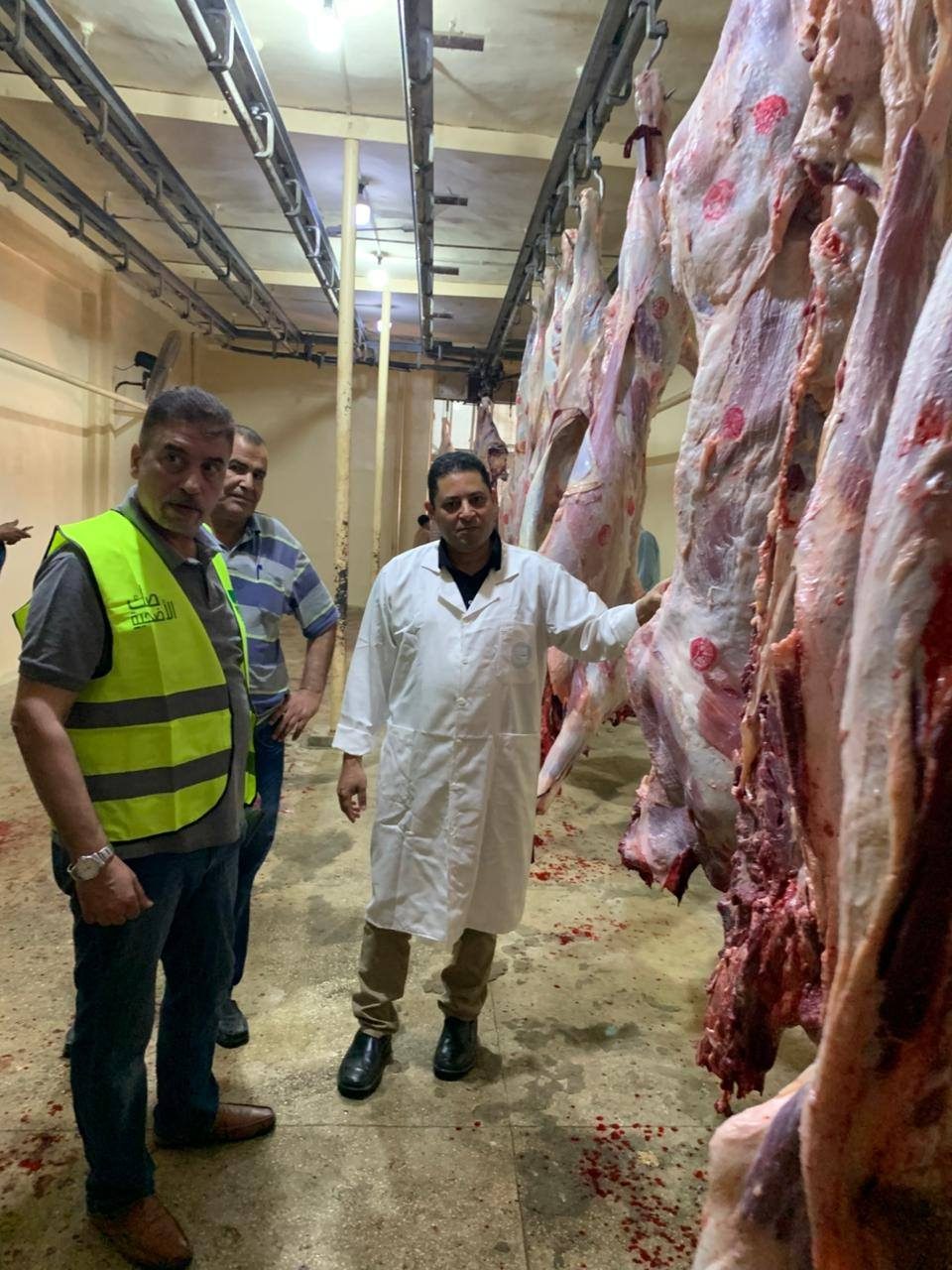 المجازر الحكومية تستقبل 34 ألف أضحية خلال أيام العيد.. بينها أكثر من 23 ألف رأس من الأبقار