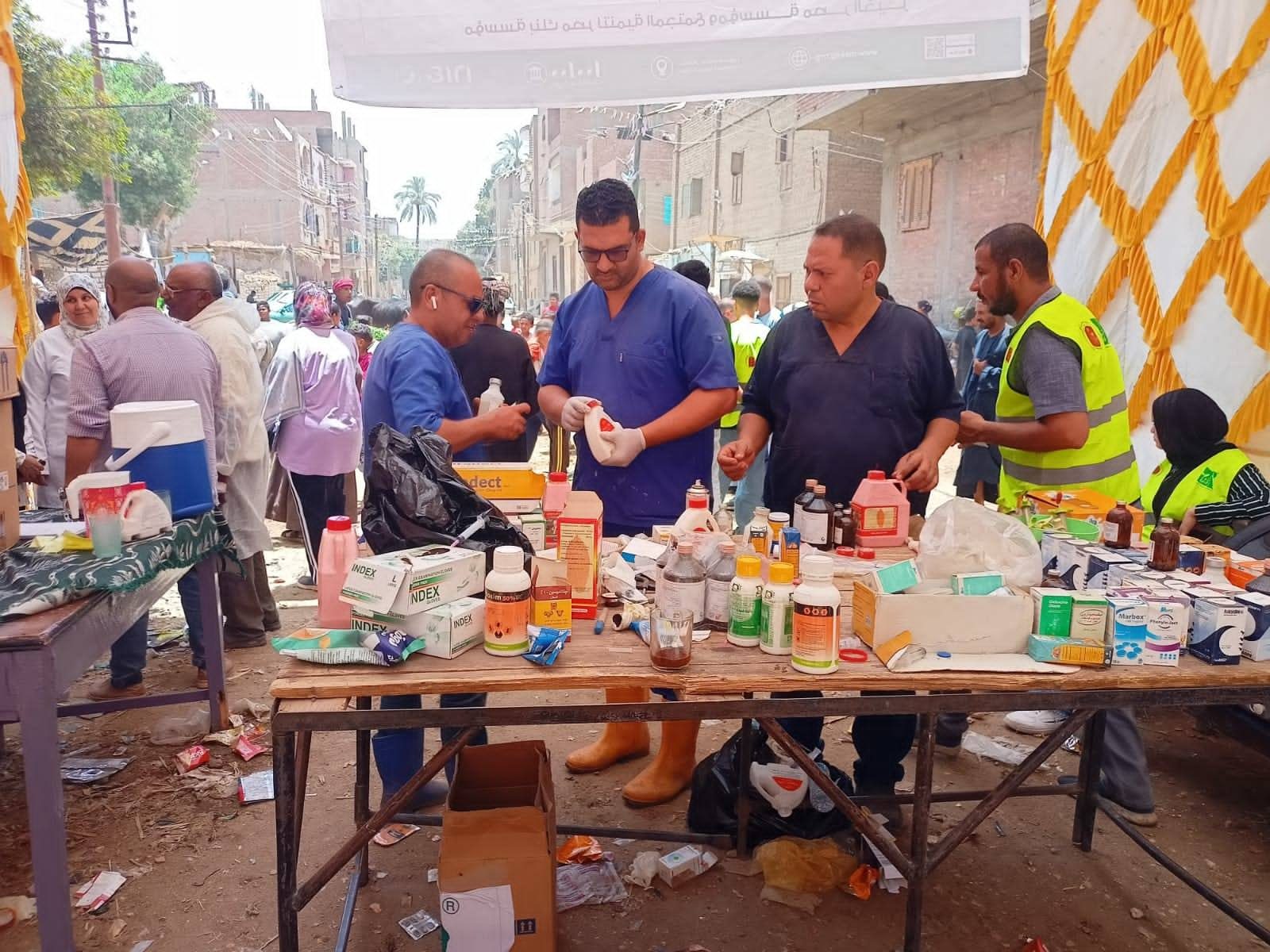 علاج وفحص 1200 رأس ماشية ضمن أعمال قافلة بيطرية بقرى "قنا"