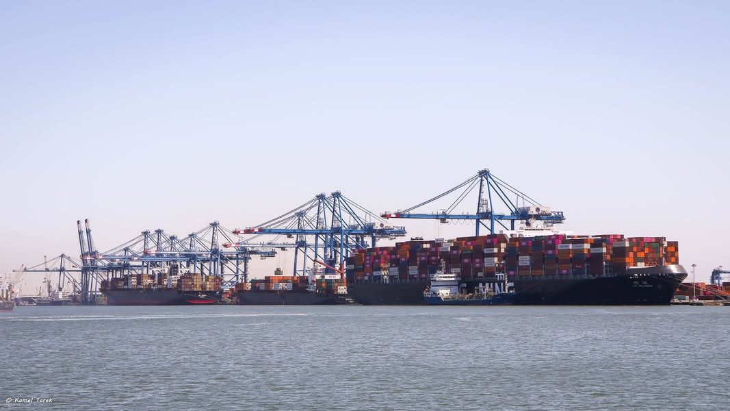 ميناء دمياط يستقبل 10562 طن قمح و 8500 طن ذرة و 2000 طن كسب عباد