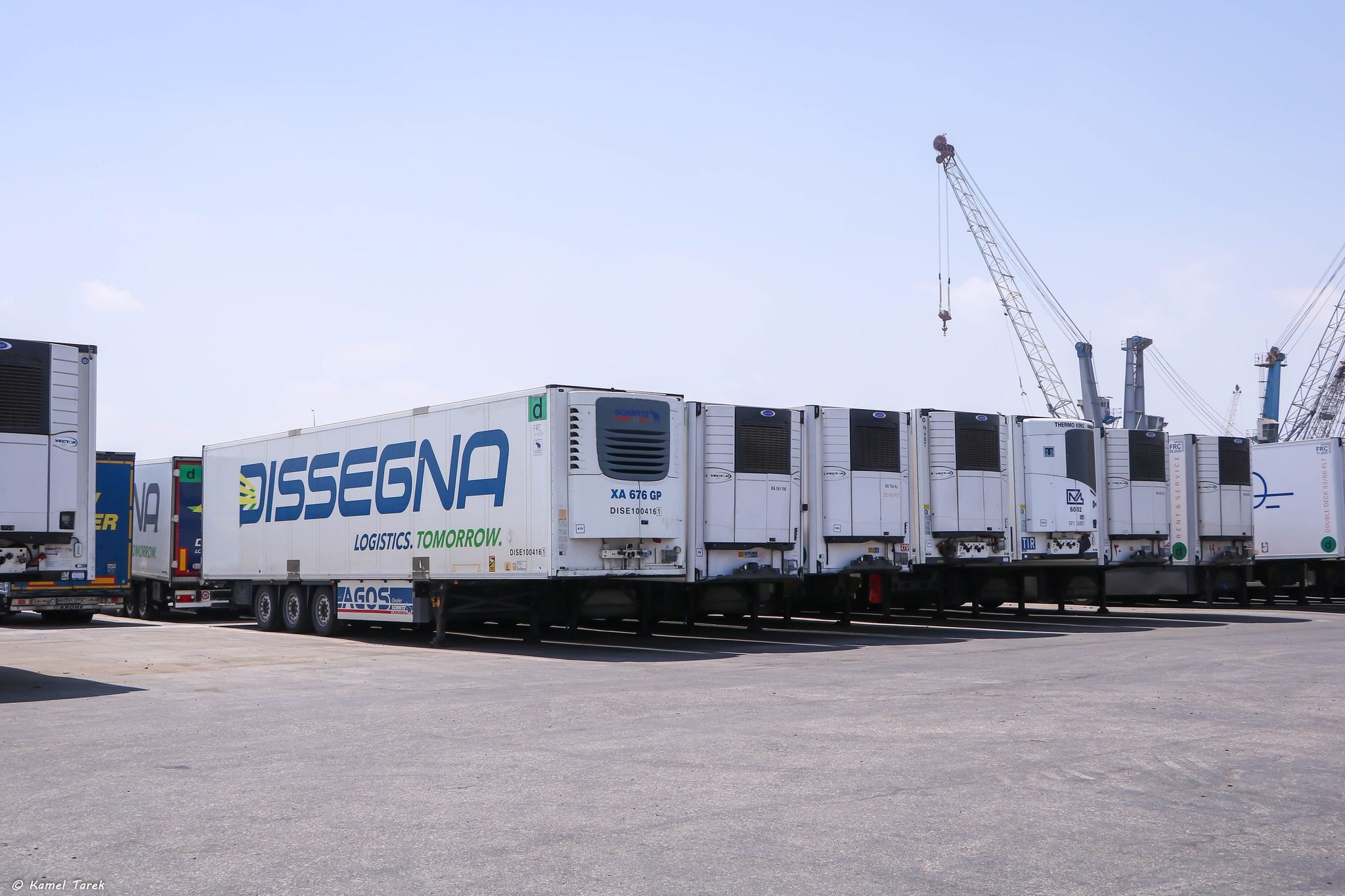 ميناء دمياط يستقبل 3585 طن قمح و 11200 طن ذرة