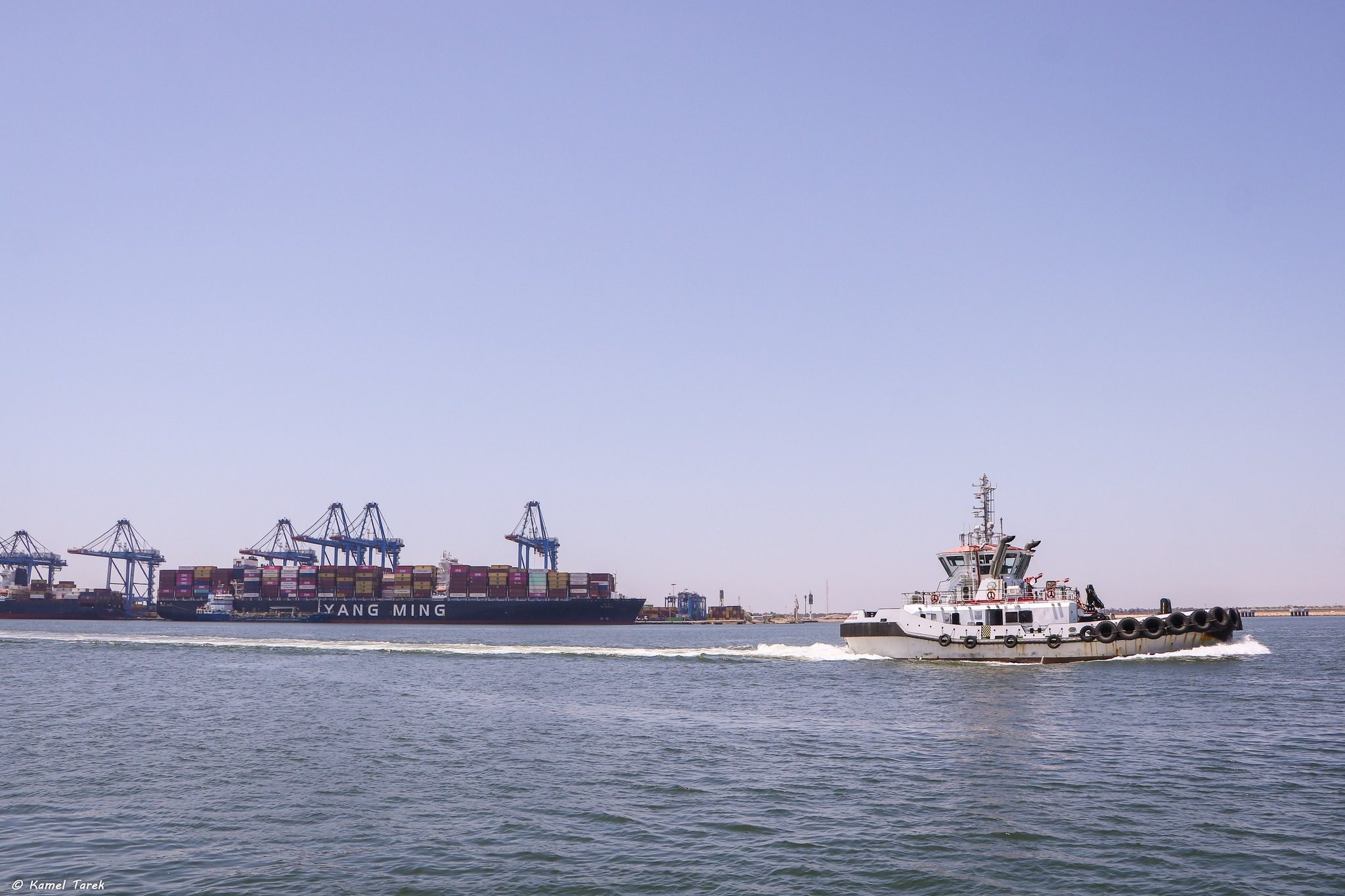 ميناء دمياط يستقبل 19890 طن ذرة و 7773 طن فول صويا و 1312 رأس ماشية