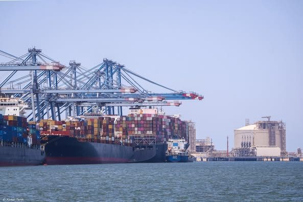 ميناء دمياط يستقبل 7500 طن ذرة و 8000 رأس ماشية