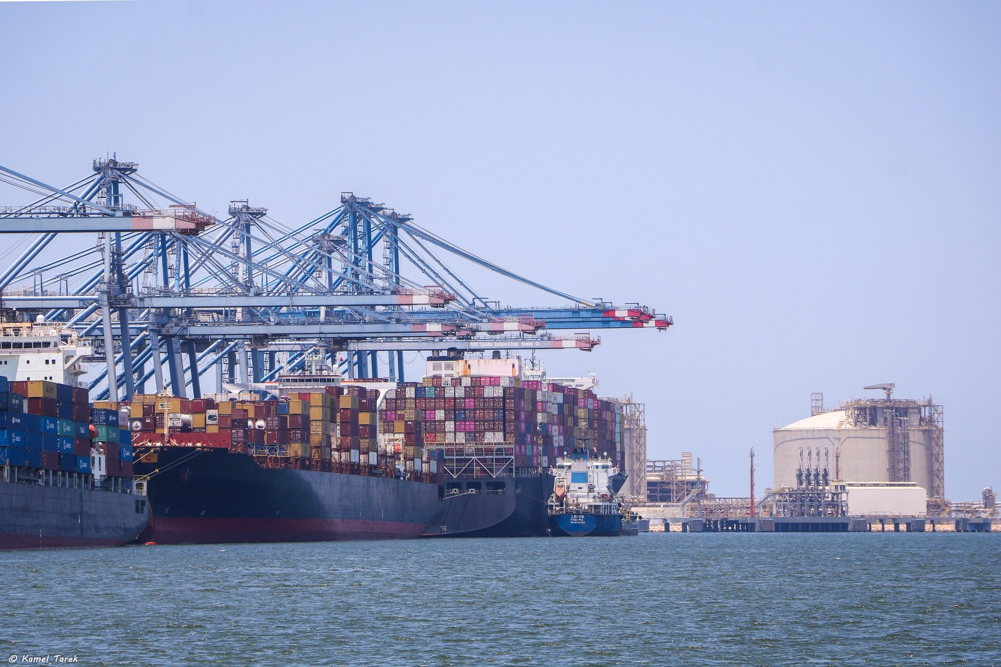 ميناء دمياط يستقبل 11101 طن فول صويا ويصدر 6300 طن علف