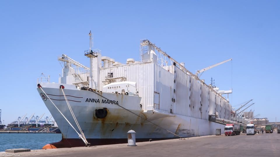 ميناء دمياط يستقبل 1410 رأس ماشية ويُصدر 100 طن كسب صويا