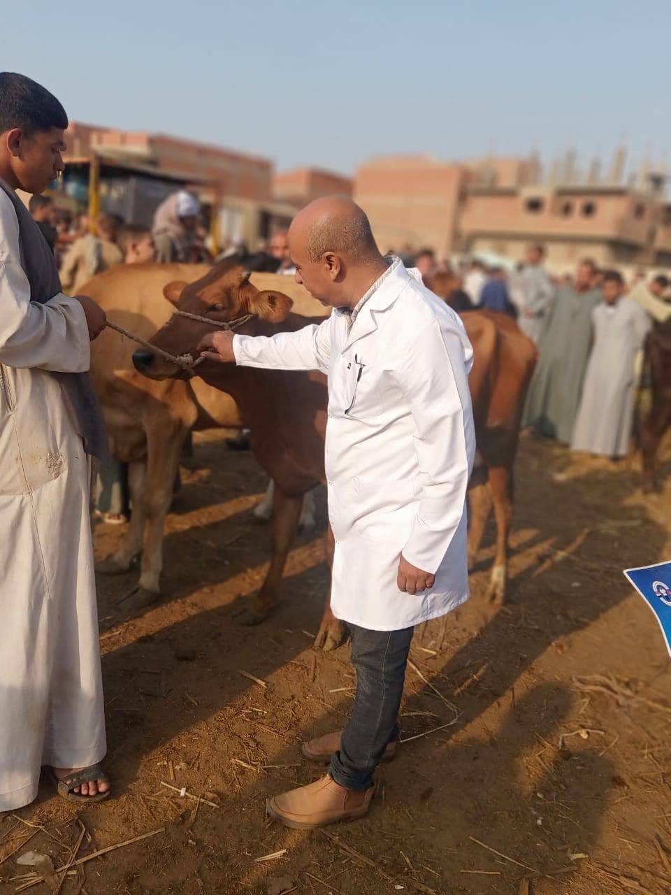 "الزراعة" تواصل حملات التقصي ومتابعة أسواق الماشية في المحافظات