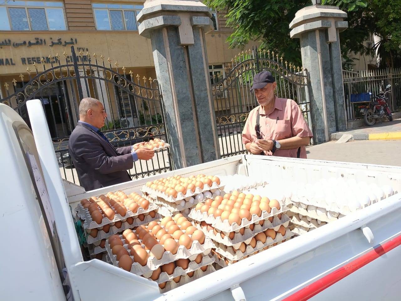 "الزراعة": إطلاق منافذ متنقلة لطرح البيض البلدي والأسماك للمواطنين بأسعار مخفضة