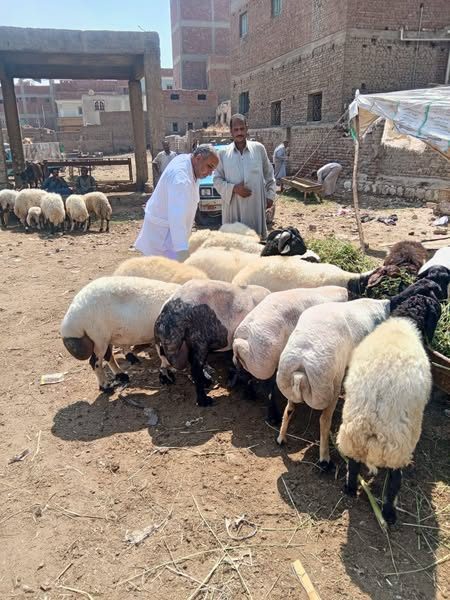 "الخدمات البيطرية" تدعو المربين للتعاون والتفاعل مع فرق تحصين الماشية بجميع المحافظات