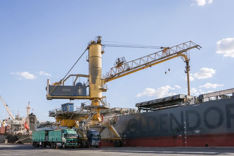 ميناء دمياط يستقبل 35277 طن ذرة و 3021 رأس ماشية