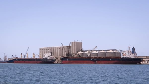 ميناء دمياط يستقبل 25265 طن ذرة و 4282 طن قمح