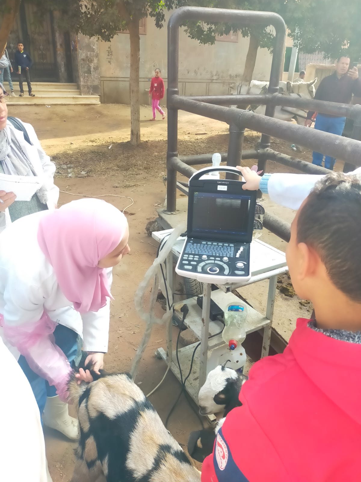 علاج 3000 حيوان وطائر في حملة بيطرية بالغربية