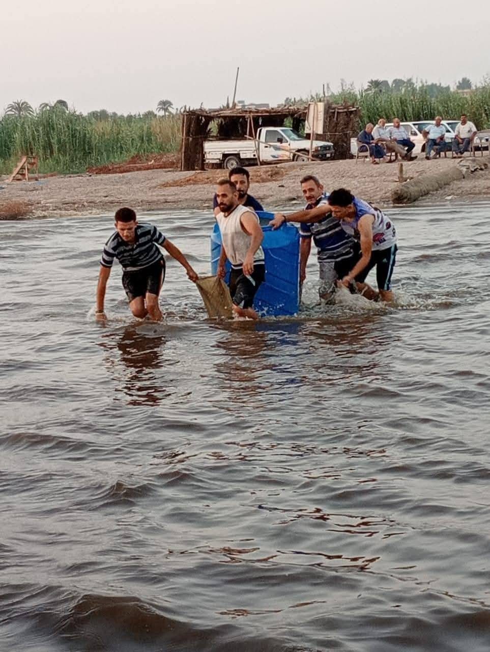 بحيرة قارون تواصل إستعادة عافيتها بإنزال الدفعة الخامسة من زريعة الجمبري
