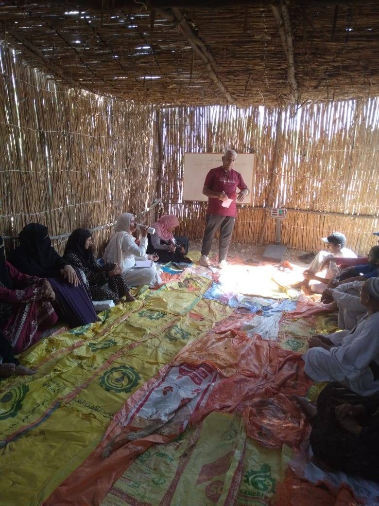 "بحوث الثروة السمكية" و"الدولي للأسماك" ينظمان ورشة عمل حول استخدامات الطاقة المتجددة في الاستزراع السمكي بكفر الشيخ