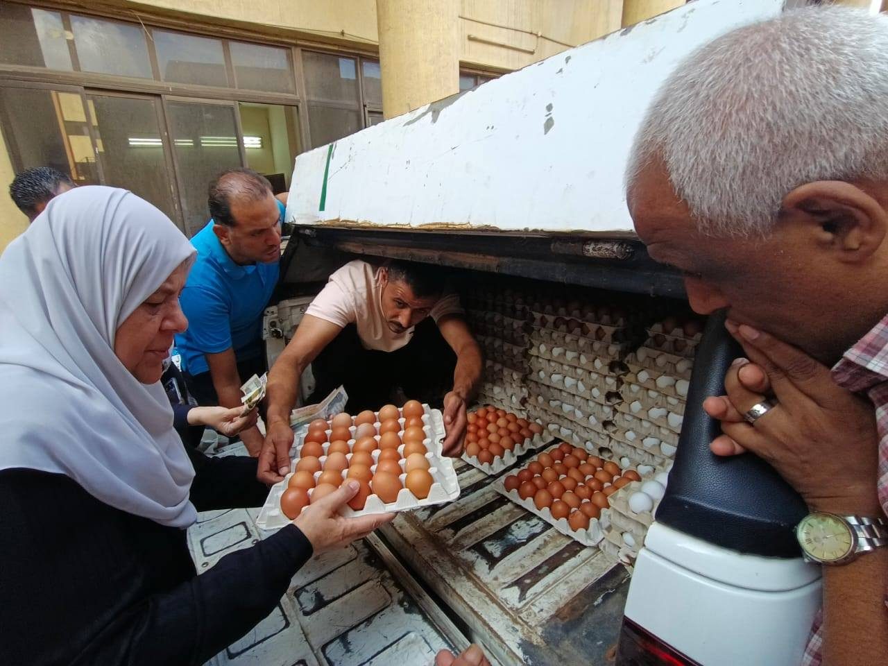 "الزراعة" تطلق 6 منافذ متنقلة لبيع بيض المائدة للمواطنين بأسعار مخفضة في ميادين القاهرة والجيزة