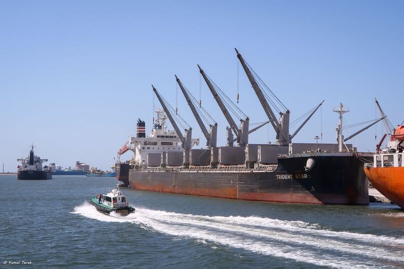 ميناء دمياط يستقبل 18546 طن ذرة و 8289 طن قمح