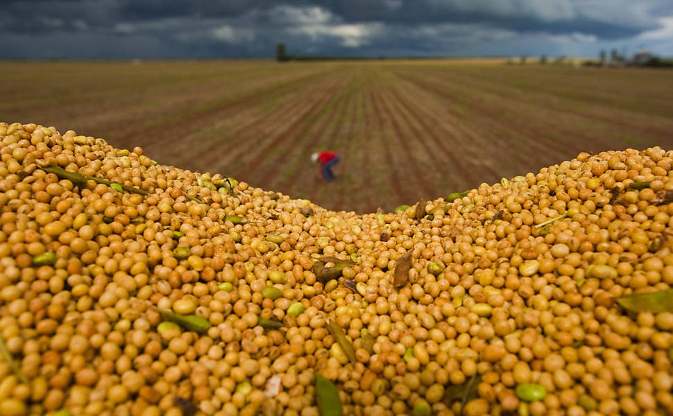 وزارة الزراعة الأمريكية تزيد مخزونات فول الصويا لموسم الحصاد الأمريكي 2025-2026