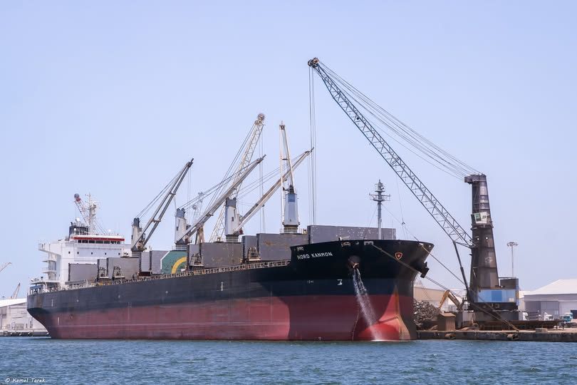 ميناء دمياط يستقبل 5139 طن قمح و 17541 طن ذرة و 2060 رأس ماشية