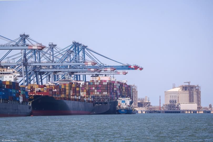 ميناء دمياط يستقبل 14914 طن قمح و 43654 طن ذرة و 2520 رأس ماشية