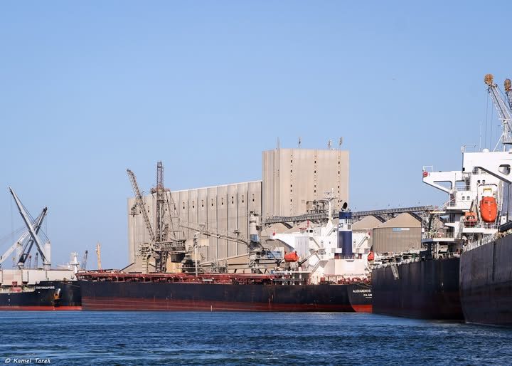 ميناء دمياط يستقبل 29800 طن ذرة و 2700 طن فول صويا و 2706 رأس ماشية